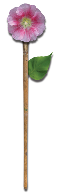 A Brush with Nature