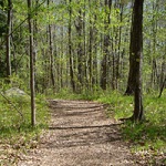 Hiking-Trails-