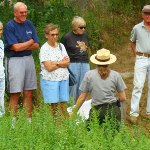 Guided Tours