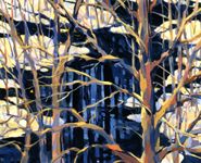 Winter Wetlands by Jen Shelley
