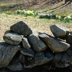 Stone Wall