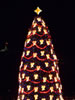 2007 National Christmas Tree (NPS Photo by Donna Spiewak)