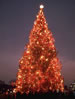 1969 National Christmas Tree (Photo by Aldon Nielson)