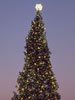 1972 National Christmas Tree (Photo by Aldon Nielson)
