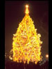 1974 National Christmas Tree (Photo by Aldon Nielson) 1974 National Christmas Tree (Photo by Aldon Nielson)