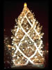 1975 National Christmas Tree (Photo by Aldon Nielson) 1975 National Christmas Tree (Photo by Aldon Nielson)