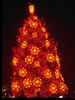 1976 National Christmas Tree (Photo by Aldon Nielson) 1976 National Christmas Tree (Photo by Aldon Nielson)