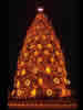 1993 National Christmas Tree (Photo by Aldon Nielson)
