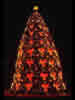 1995 National Christmas Tree (Photo by Aldon Nielson)