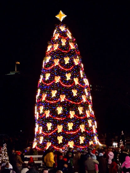 2007 National Christmas Tree (NPS Photo by Donna Spiewak)