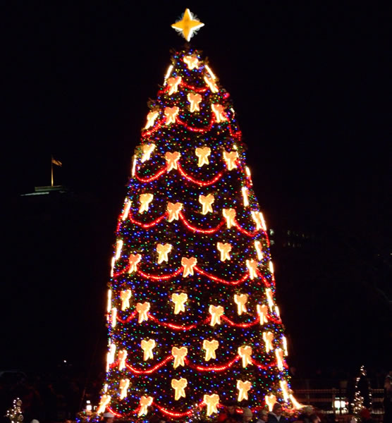 2007 National Christmas Tree (NPS Photo by Donna Spiewak)