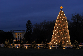 2008 Lighting of the National Christmas Tree
