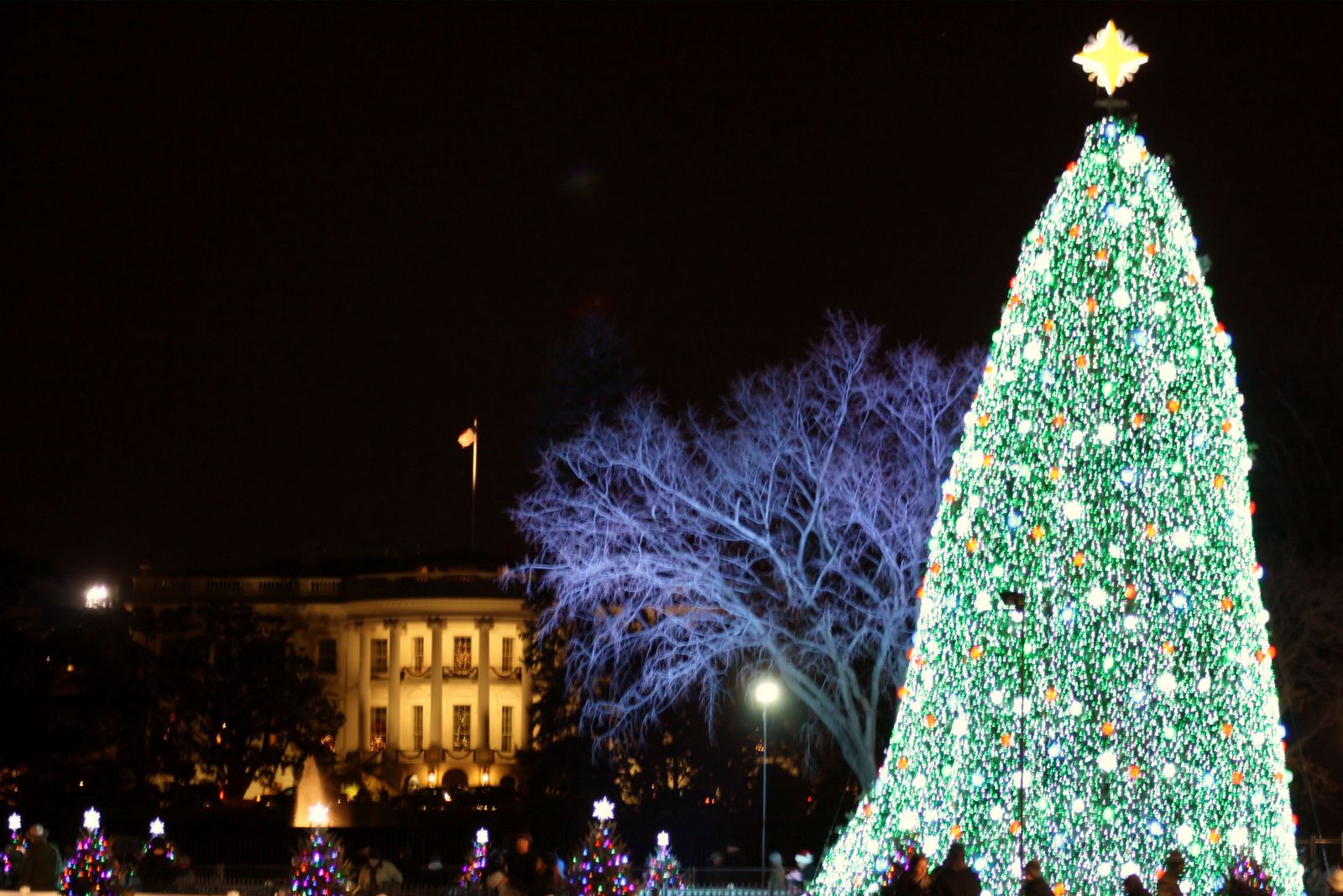 The National Christmas Tree.