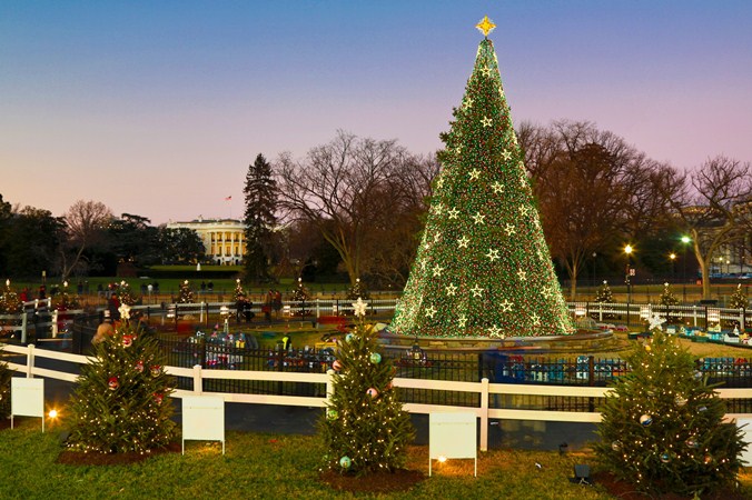 national christmas tree president s park white house national christmas tree president s park white house