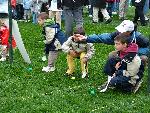 Children 'rolling' the Easter eggs