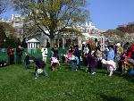 Egg Roll
