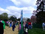 Egg Hunt