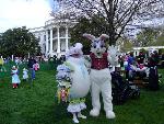 Easter Egg Roll Characters