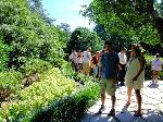 White House Summer Garden Tour