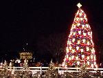 27 National Christmas Tree Lighting Ceremony