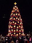 26 National Christmas Tree Lighting Ceremony