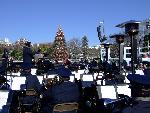 11 National Christmas Tree Lighting Ceremony