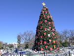 09 National Christmas Tree