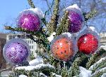 05 National Christmas Tree