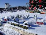 03 National Christmas Tree