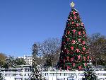 01 National Christmas Tree