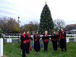 2008 Lighting of the National Christmas Tree