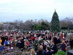 2008 Lighting of the National Christmas Tree