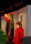 2008 Lighting of the National Christmas Tree