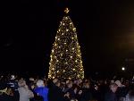 2008 Lighting of the National Christmas Tree