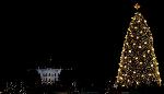 2008 Lighting of the National Christmas Tree