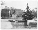 1934 National Christmas Tree