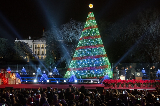 President Barack Obama, First Lady Michelle Obama, daughters Sasha and Malia, and Marian Robinson participate in the National Christmas Tree lighting on the Ellipse in Washington, D.C., Dec. 4, 2014.