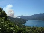 Prescribed burn