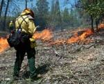 fire behaivior