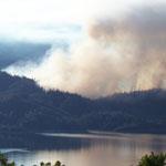 Roast Prescribed fire