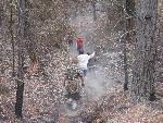 Kids on a fire hike
