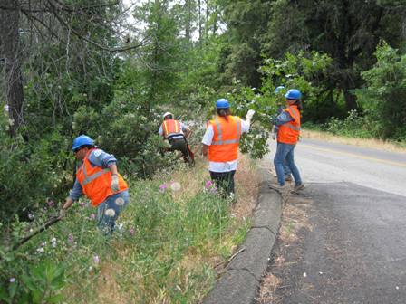 2010 YCC Crew clearing vegetation along the roadside