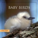 Image of"Baby Birds" book cover