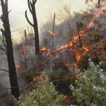wildfire at Whiskeytown