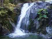 Brandy Creek Falls