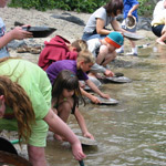 Visitors trying their luck at goldpanning.