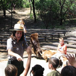 Junior Ranger Program.