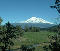 Snow capped Mt. Shasta.