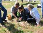 Volunteers planting native plants.