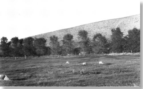 Historic photo of base of hill, base lined with trees. Vegetation sparse otherwise.
